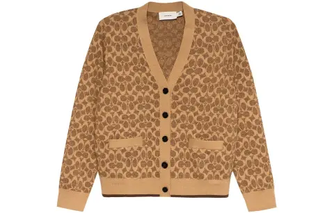 COACH Sweaters Women's Brown V-neck Moderate