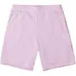 Converse Go-To Standard Fit 9' Fleece Shorts