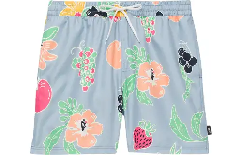 Vans Primary Print Elastic 17'' Boardshorts Casual Shorts Men's Blue