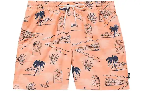 Vans Primary Print Elastic 17'' Boardshorts Casual Shorts Men's Bronze