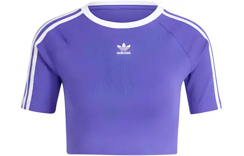 Adidas Originals Raglan Sleeve T Shirt Women's Blue Purple