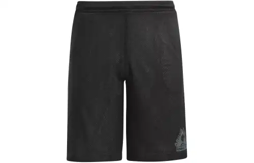 Reebok BASKETBALL Above THE RIM SHORTS Basketball Shorts Men's Black