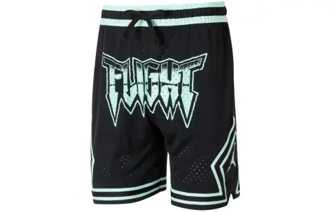 Jordan Sports Shorts Men's Black