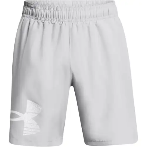Under Armour Woven Collection UA Tech™ Graphic Shorts Casual Shorts Men's Gray
