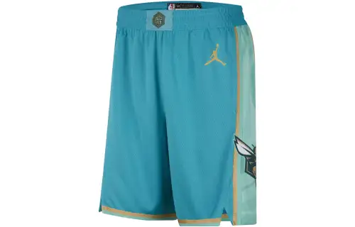 Nike Nba Charlotte Hornets City Edition 2023/24 Swingman Shorts