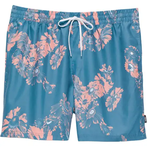 Vans Primary Print Elastic 17'' Boardshorts Casual Shorts Men's Cyan Stone