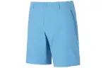 Under Armour Casual Shorts Men's Blue