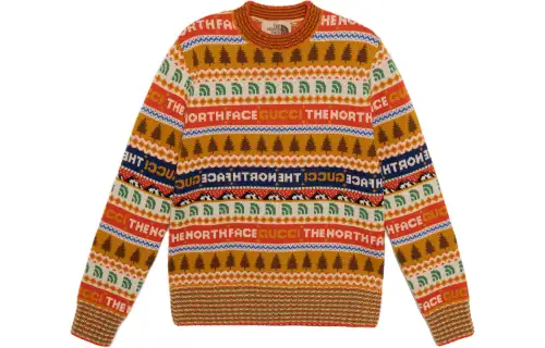 GUCCI X The North Face Sweater Multicolor