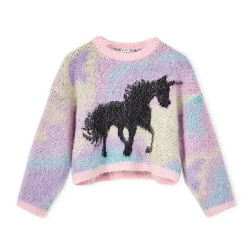LOEWE Sweaters Women's Purple Crew Neck Moderate Base Layer