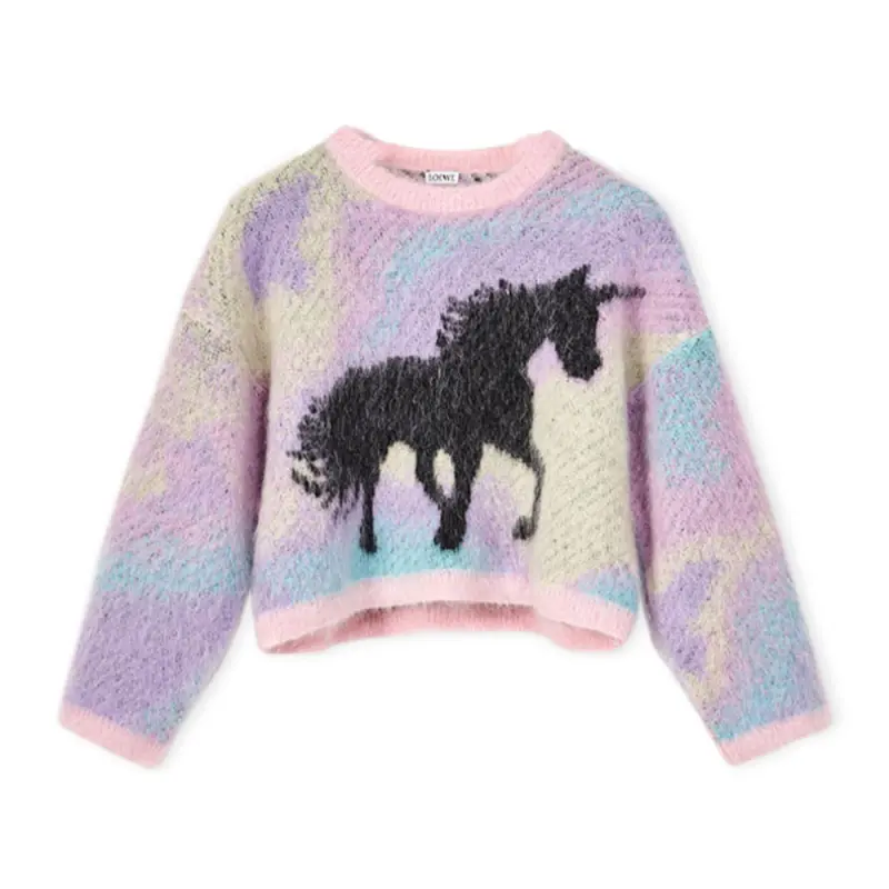 LOEWE Sweaters Women's Purple Crew Neck Moderate Base Layer
