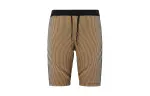 Nike Dri FIT ADV Sports Shorts Men's Khaki