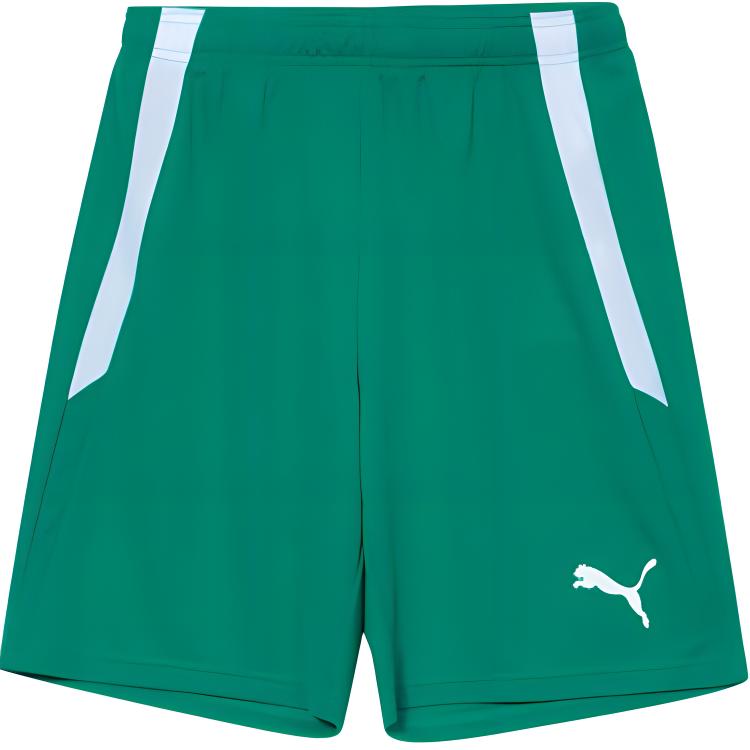 PUMA TeamLIGA Men's Soccer Shorts