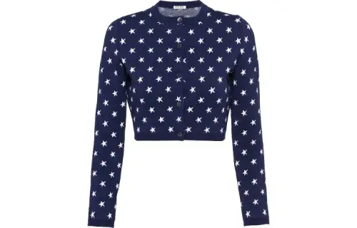MIU MIU FW21 Embroidered Flower Knitwear Women's Blue
