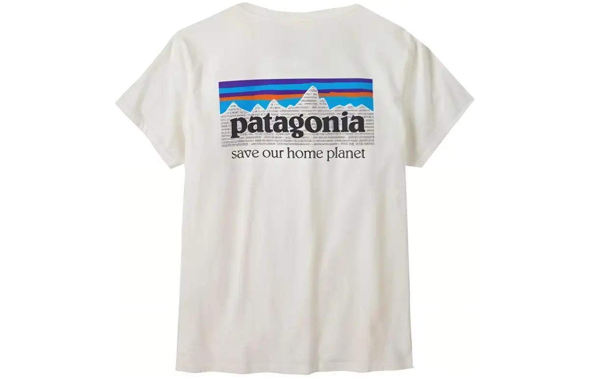 Patagonia Organic T Shirt Women's