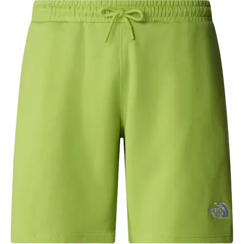 THE NORTH FACE Casual Shorts Men's Green