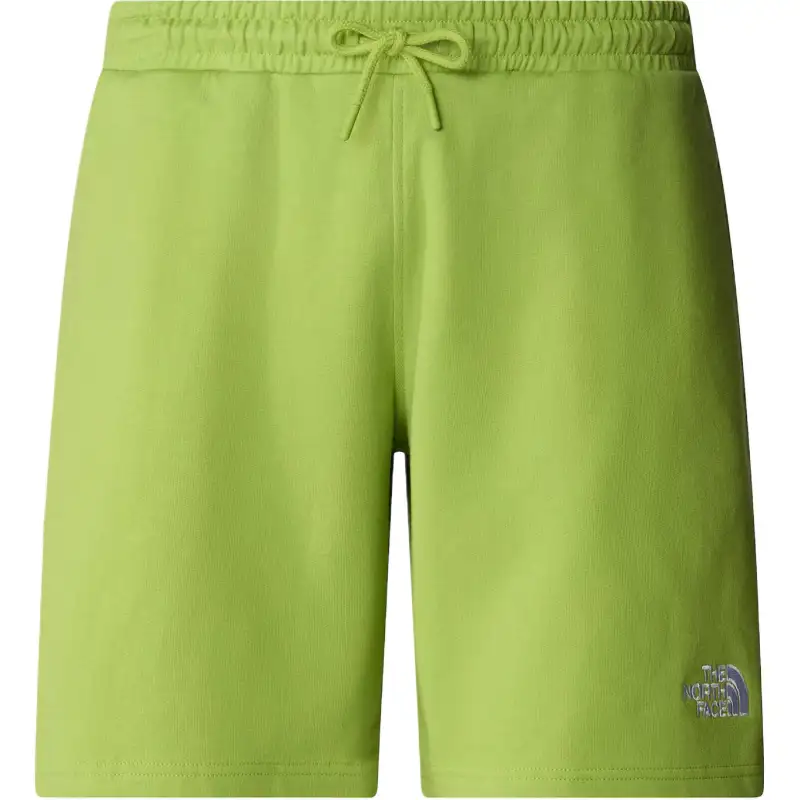 THE NORTH FACE Casual Shorts Men's Green