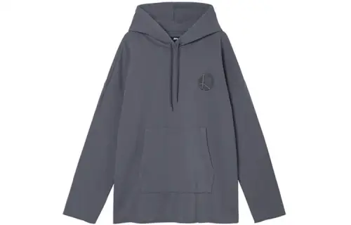 Stussy Sweatshirts Women's Gray Hooded Moderate Regular