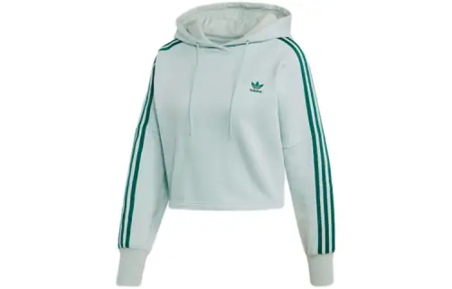 Adidas Originals Sweatshirts Women's Steam Green Hooded Moderate Regular