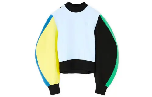 LOEWE Sweatshirt Women's Light Blue