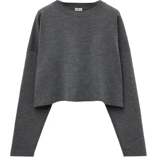 LOEWE SS25 Women's Pre Selection Collection Sweater Women's Dark Gray