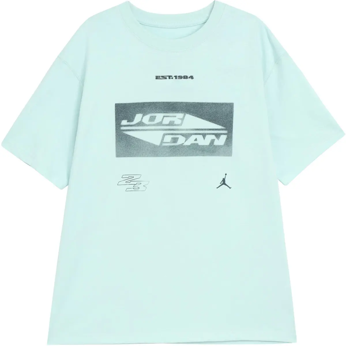 Jordan T Shirt Women's Light Dew Green/Oxidized Green