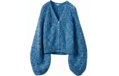 LOEWE Balloon Sleeve Cardigan 'Blue Multitone'