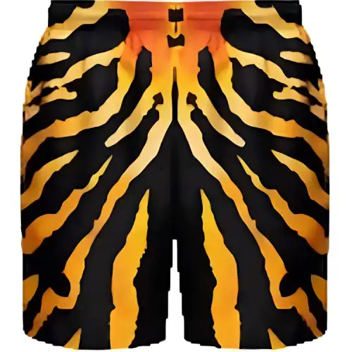 Burberry Casual Shorts Men's Multicolor