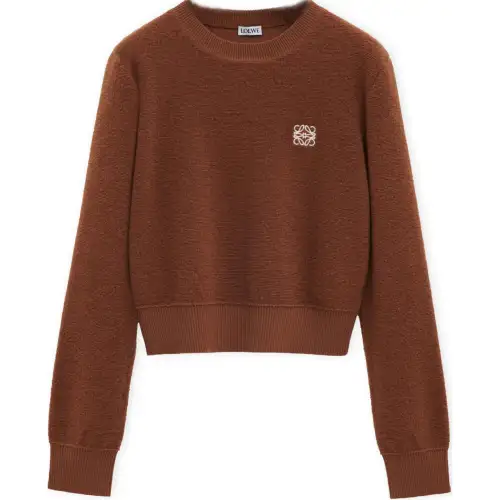 LOEWE SS25 Women's Pre Selection Collection Sweater Women's Brown