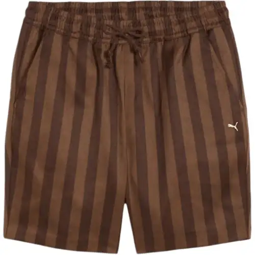 PUMA SS24 Casual Shorts Men's Brown