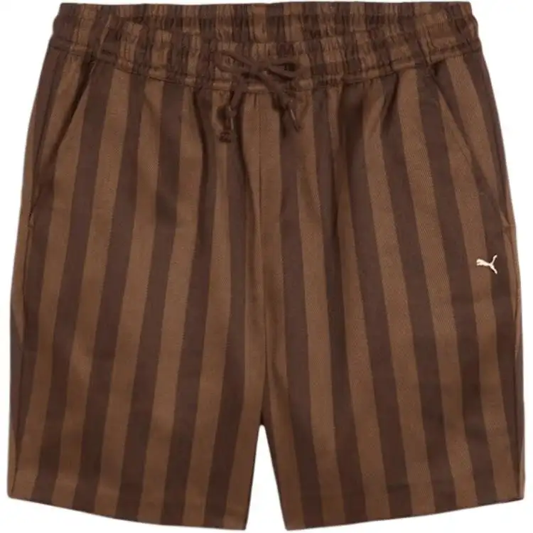 PUMA SS24 Casual Shorts Men's Brown