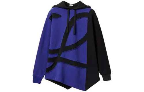 LOEWE Sweatshirts Women's Blue Hooded Moderate Regular