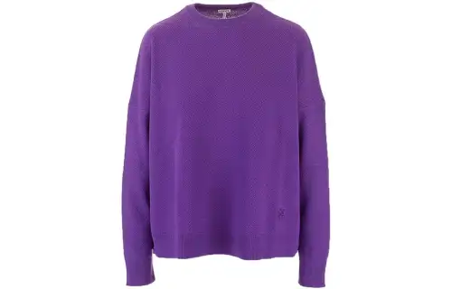 LOEWE Cashmere Sweaters Women's Purple V Neck