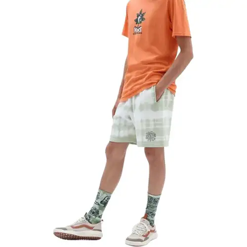 Vans Casual Shorts Men's Celadon Green