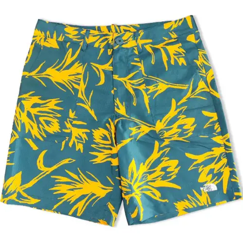 THE NORTH FACE Casual Shorts Men's Blue/Multicolor