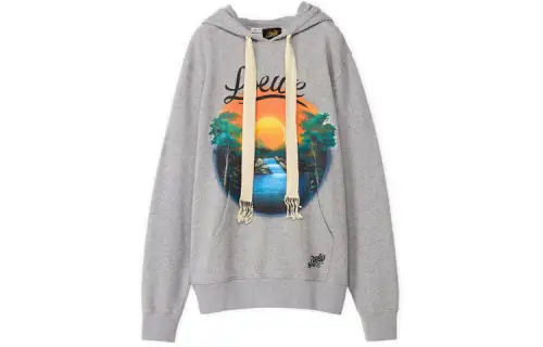 LOEWE Sweatshirts Women's Gray Hooded Moderate