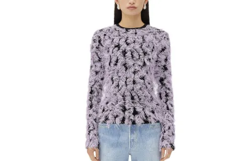 Bottega Veneta Sweaters Women's Purple Crew Neck Moderate Other