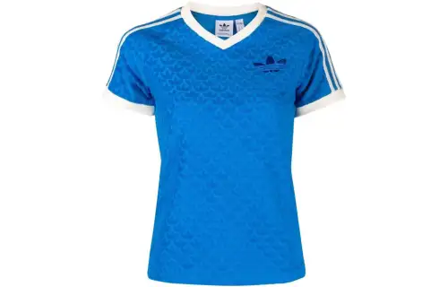 Adidas Originals ADICOLOR Raglan Sleeve T Shirt Women's Blue