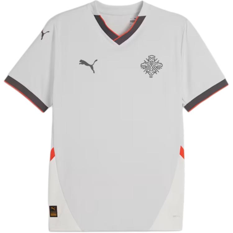 PUMA Iceland 2024 Soccer Jersey Men's Gray White Warm Earth Tone