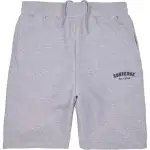 Converse Casual Shorts Men's Gray