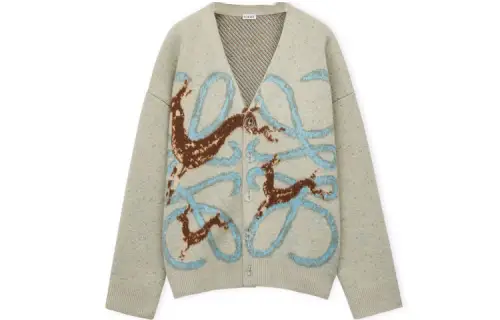 LOEWE SS23 Knitwear Women's Light Gray V Neck Moderate Cardigan