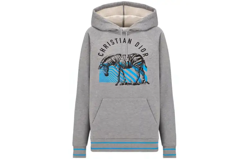 DIOR SS22 Sweatshirt Women's Gray