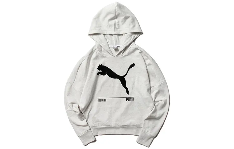 PUMA TEAMRISE Sweatshirts Women's Hooded Moderate Regular