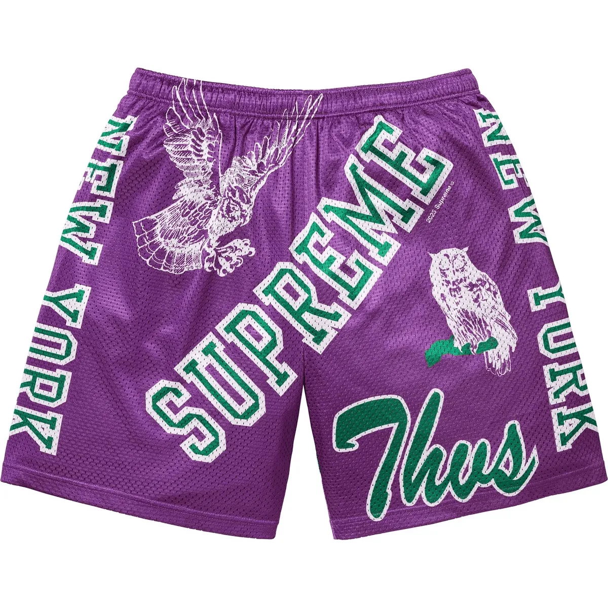 Supreme Varsity Mesh Short
