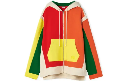 LOEWE Oversize Zip Up Hoodie 'Multicolor'