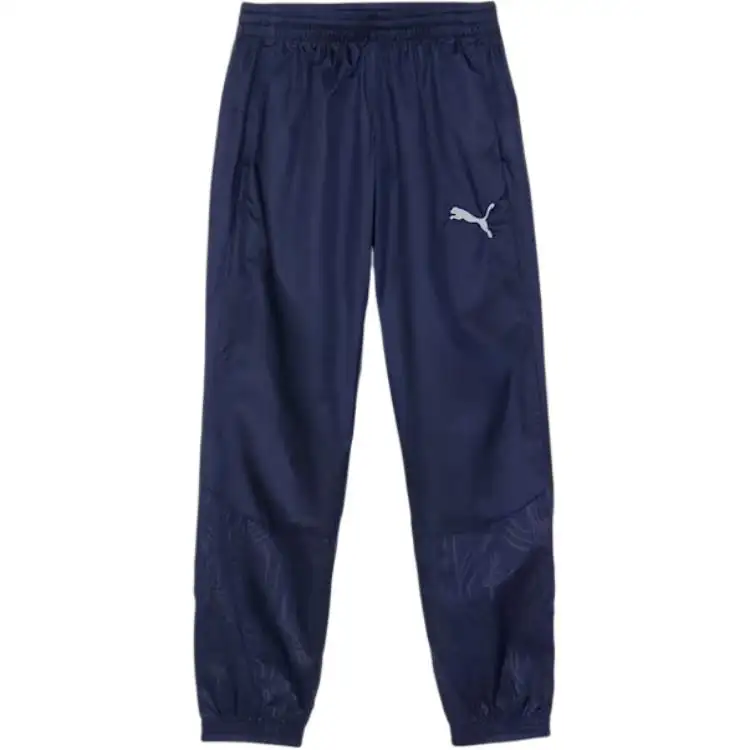 PUMA TEAMFINAL Soccer Bottom Men's Blue