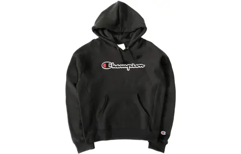 Champion RW Collection, Vintage Champion Flock Script Letter Thickened And Fleece Lined Hooded Pullover Sweatshirt