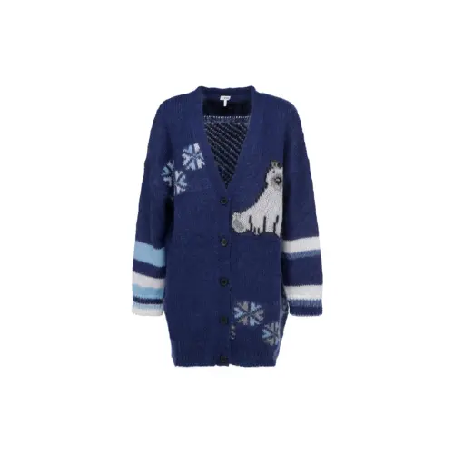 LOEWE Knitwear Women's Navy V Neck Moderate Cardigan