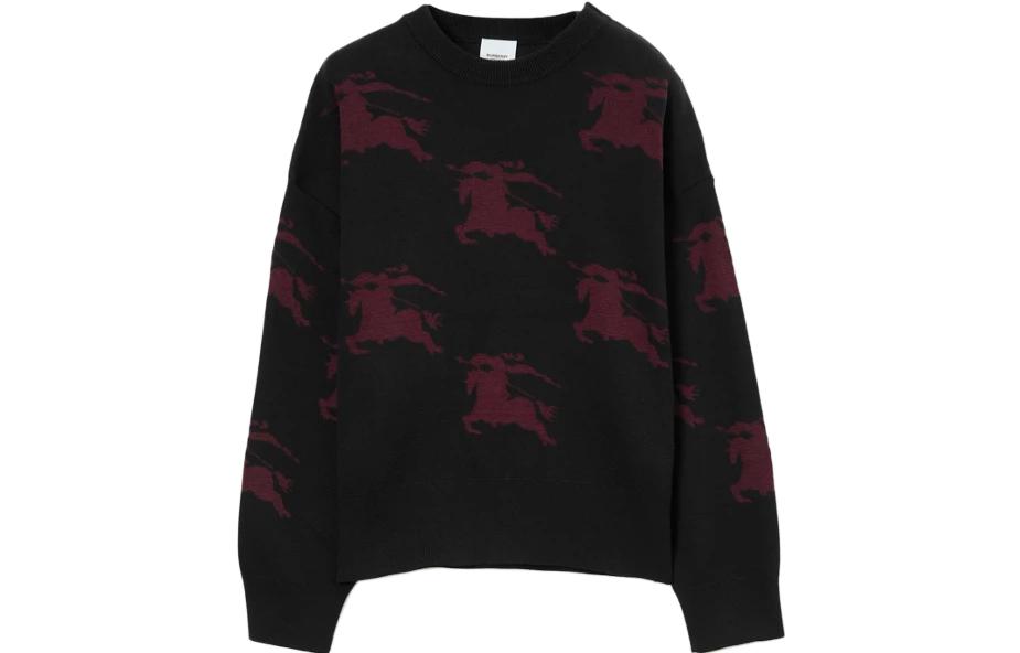 【Previous Season】EKD patterned jacquard jumper
