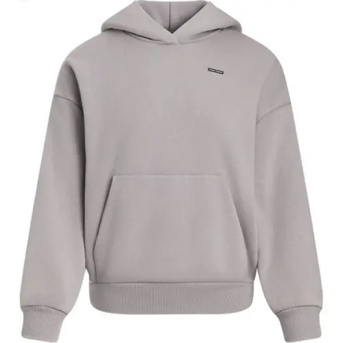 Under Armour Icon AW24 Sweatshirt Women's Tetra Gray