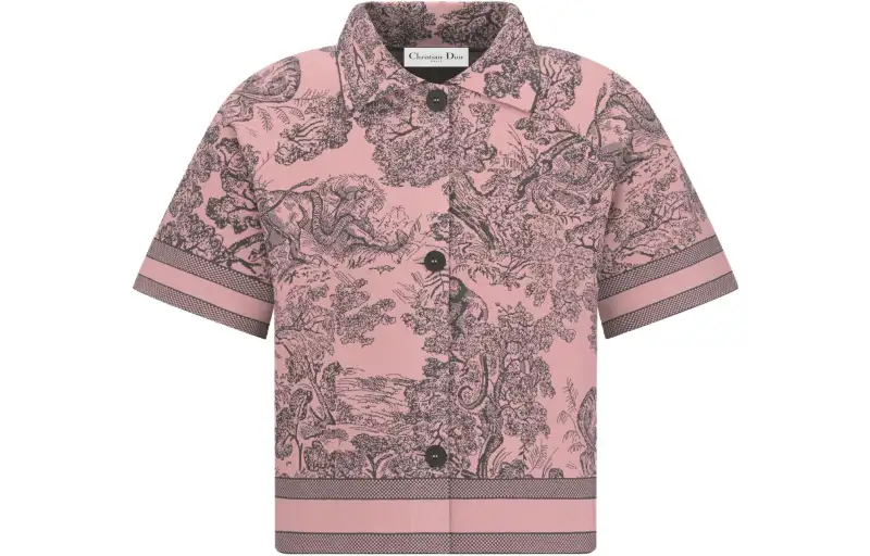 DIOR Shirts Women's Pink Pointed Collar Moderate Other